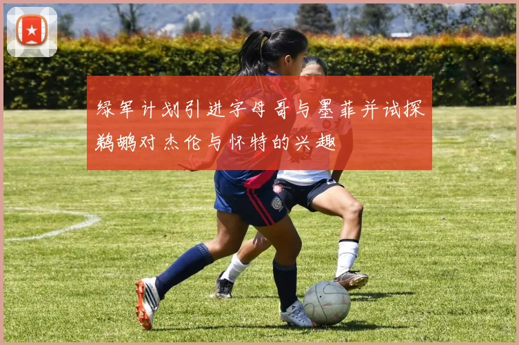 绿军计划引进字母哥与墨菲并试探鹈鹕对杰伦与怀特的兴趣